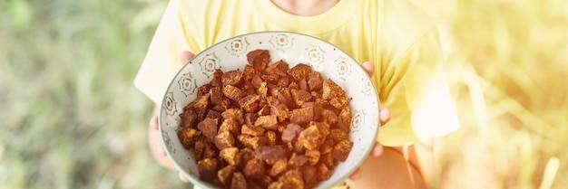 Co można ugotować dla psa z domowych składników?