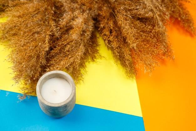 Jak drożdże piwne i witamina B wpływają na włosy skórę i paznokcie?