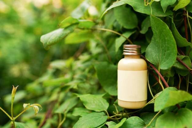 Jak działa Ekamedica Lucerna 500 ml i kiedy warto po nią sięgnąć?