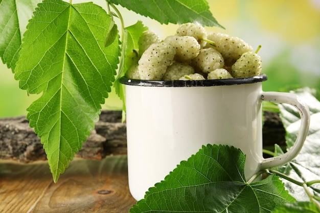 Jak działa morwa biała 1l Symbiotics w codziennej diecie?